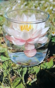 Lire la suite à propos de l’article Adèle